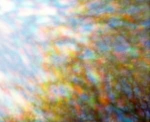 Photo by kevin dooley