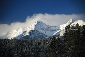 Photo by Laszlo Ilyes