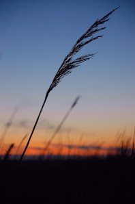 Photo by The 5th Ape