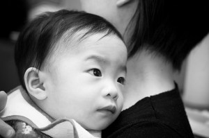 Photo by Kenny Loule