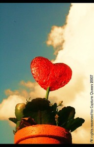 Photo by Capture Queen