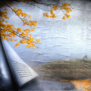 Photo by Nick Kenrick