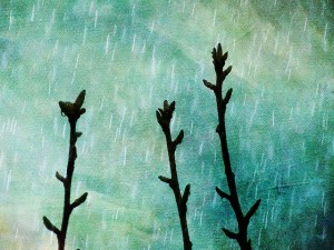 Photo by Nick Kenrick