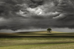 14691566633_a8815b9324_z