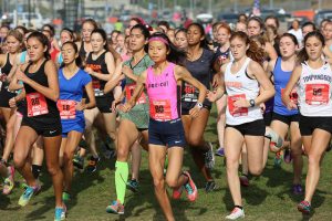 Photo by Malcolm Slaney