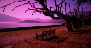 Photo by CLAUDIA DEA